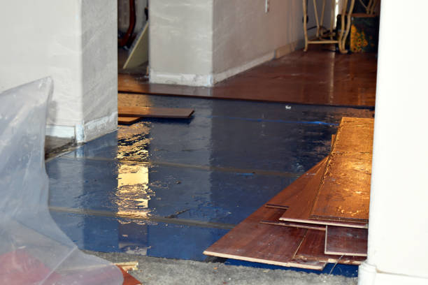 Professional Sewage Cleanup technician working in Marshall, MI